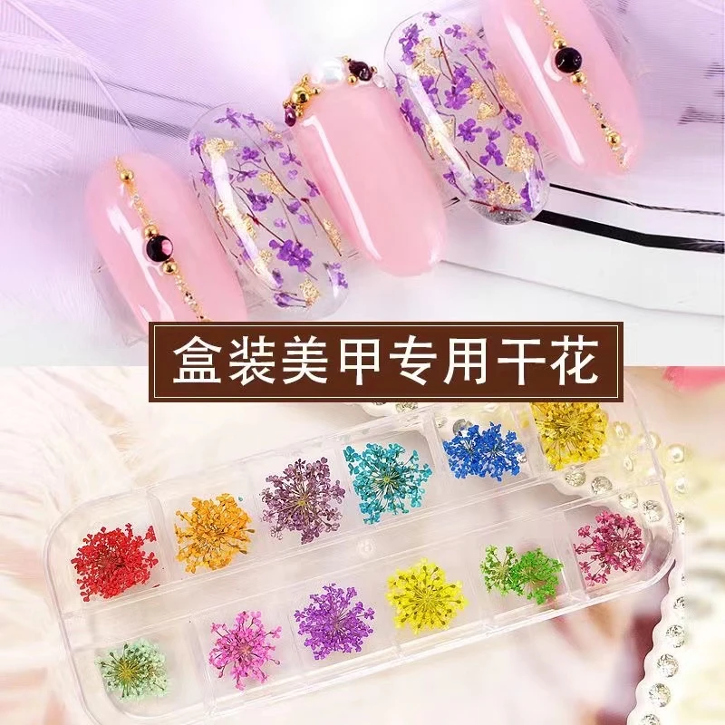 返潮复古满天星干花夏天日系风超薄小清新彩色流行指甲贴美甲