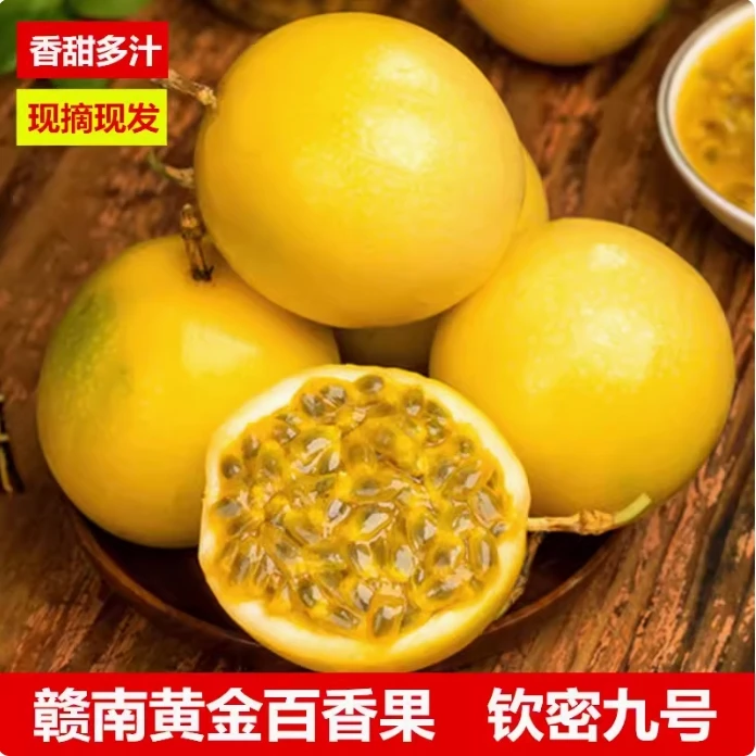 【顺丰包邮】赣南钦蜜9号黄金百香果果园直发孕妇新鲜香甜3斤5斤装
