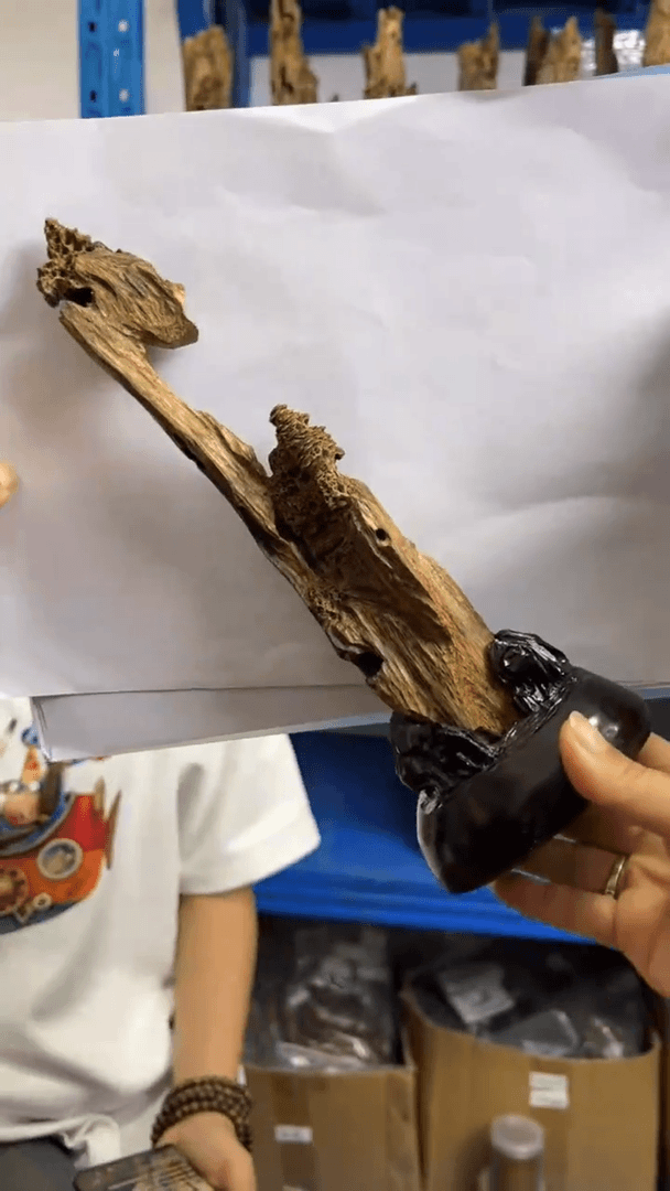 【闪购商品】60克+沉香虫漏摆件多样性发货一条