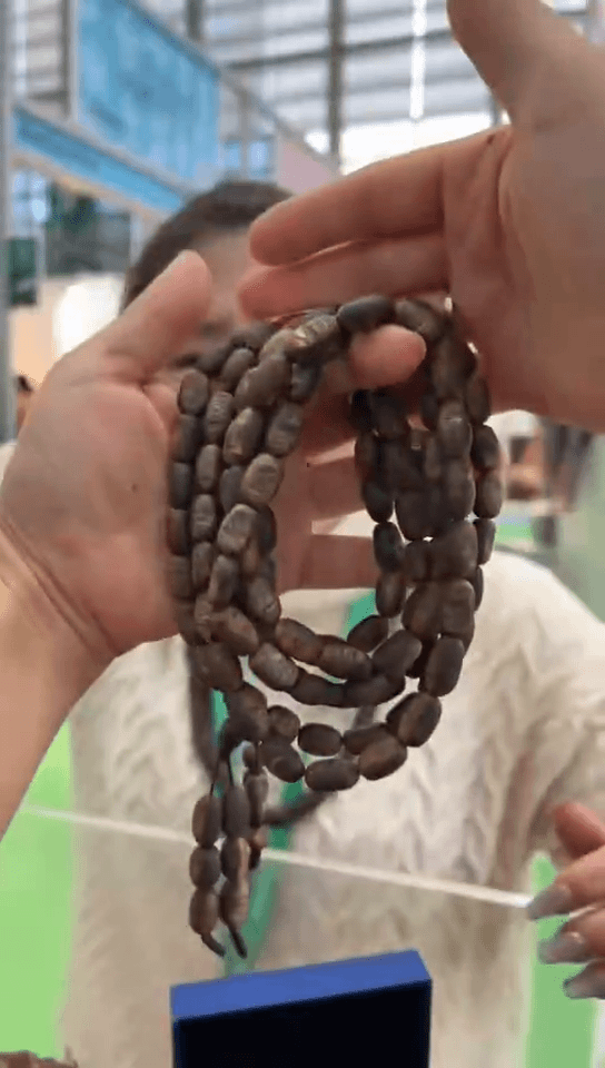 【闪购商品】沉香手串99沉25克+张勺子多样性发货一条