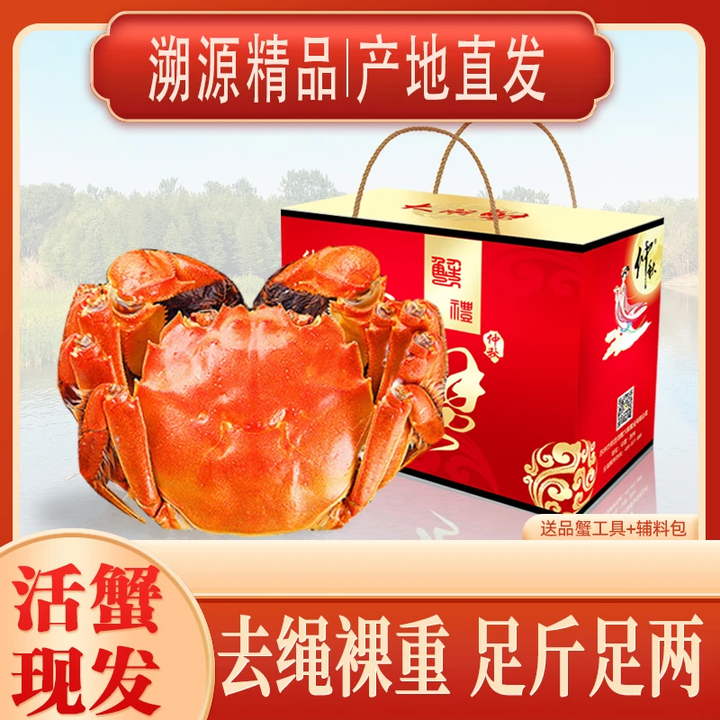 【活蟹现发】溱湖簖蟹2.5两母蟹8只送公蟹2只鲜活螃蟹大闸蟹