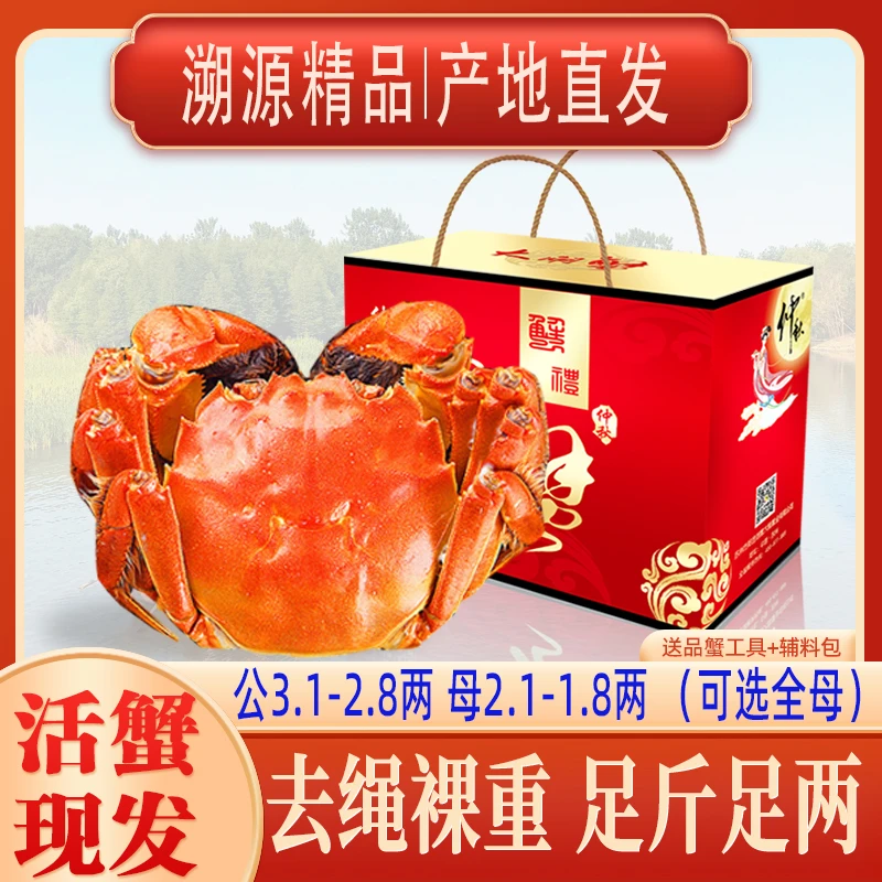 【活蟹现发】溱湖簖蟹公3.1-2.8两母2.1-1.8两8只鲜活大闸蟹螃蟹