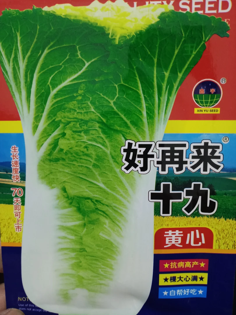 好再来十九黄心大白菜种子10克