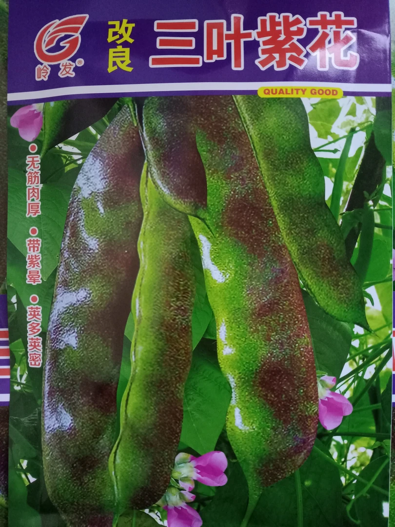 三叶紫花油豆角种子