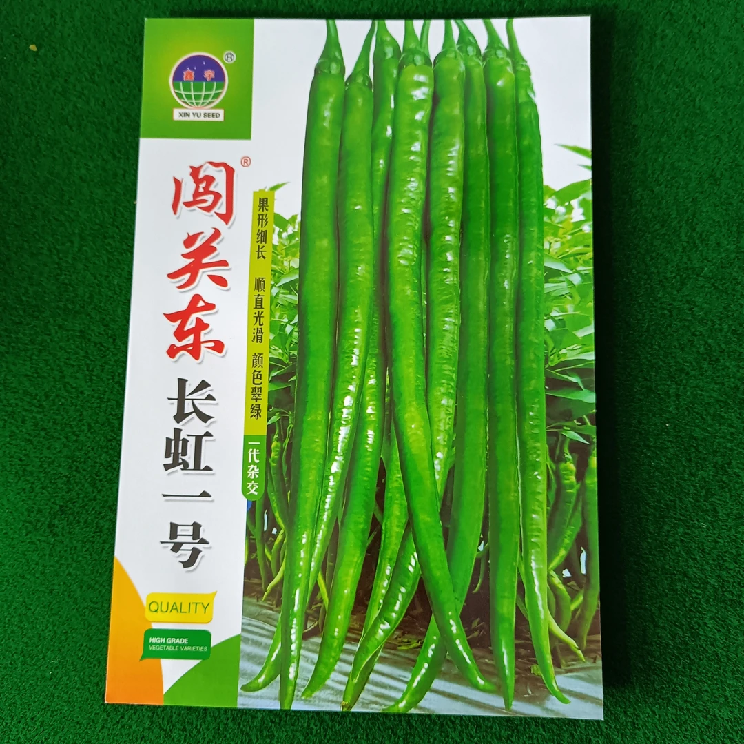 长虹一号二金条长线椒种子
