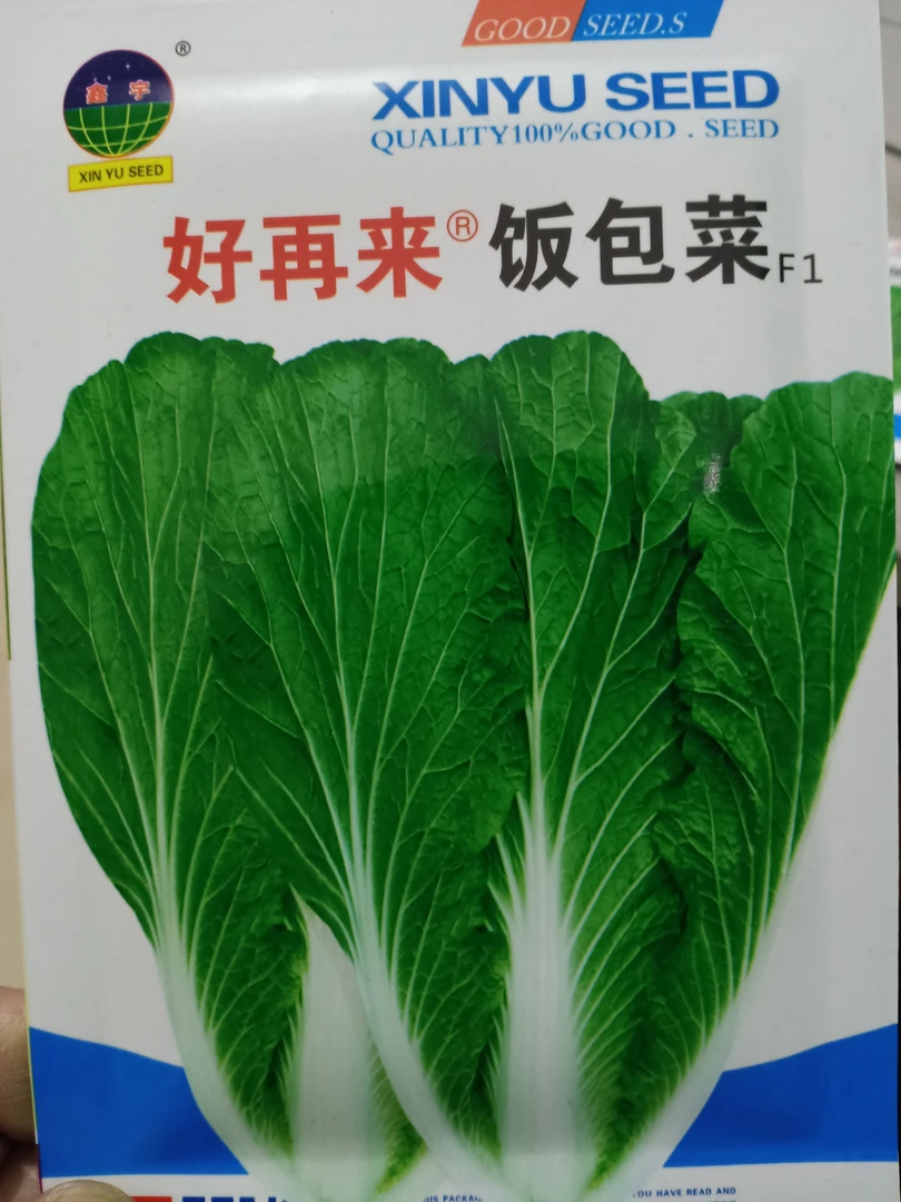 拍一发二好再来饭包菜种子10克