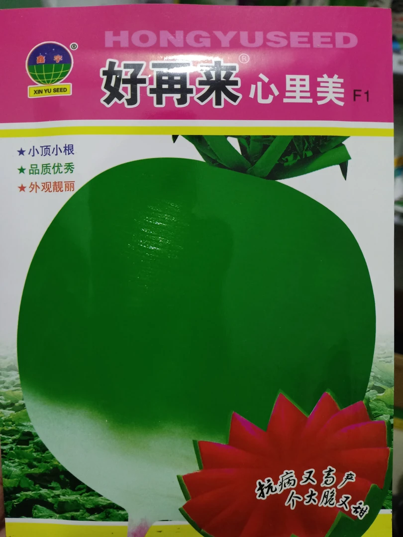好再来心里美萝卜种子10克
