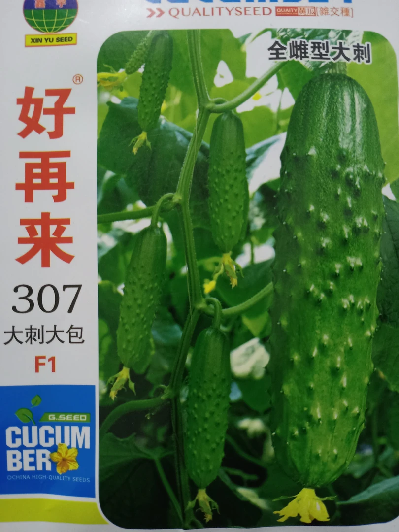 好再来307全雌大包大刺黄瓜种子50粒