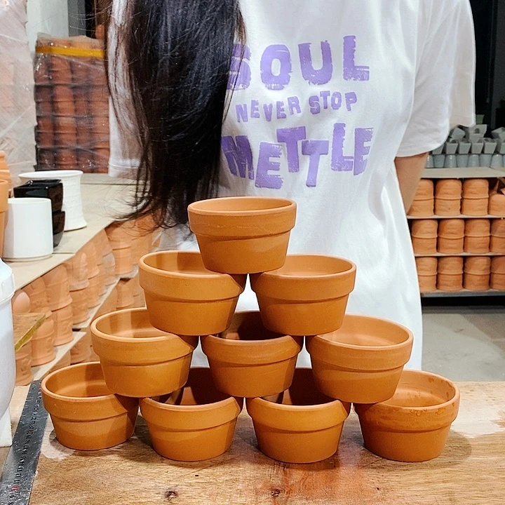 红陶20CM以下2-9×6十个