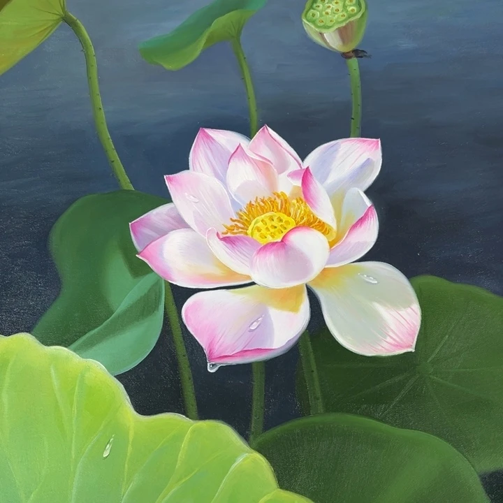 绘画w y y p p z p z p z