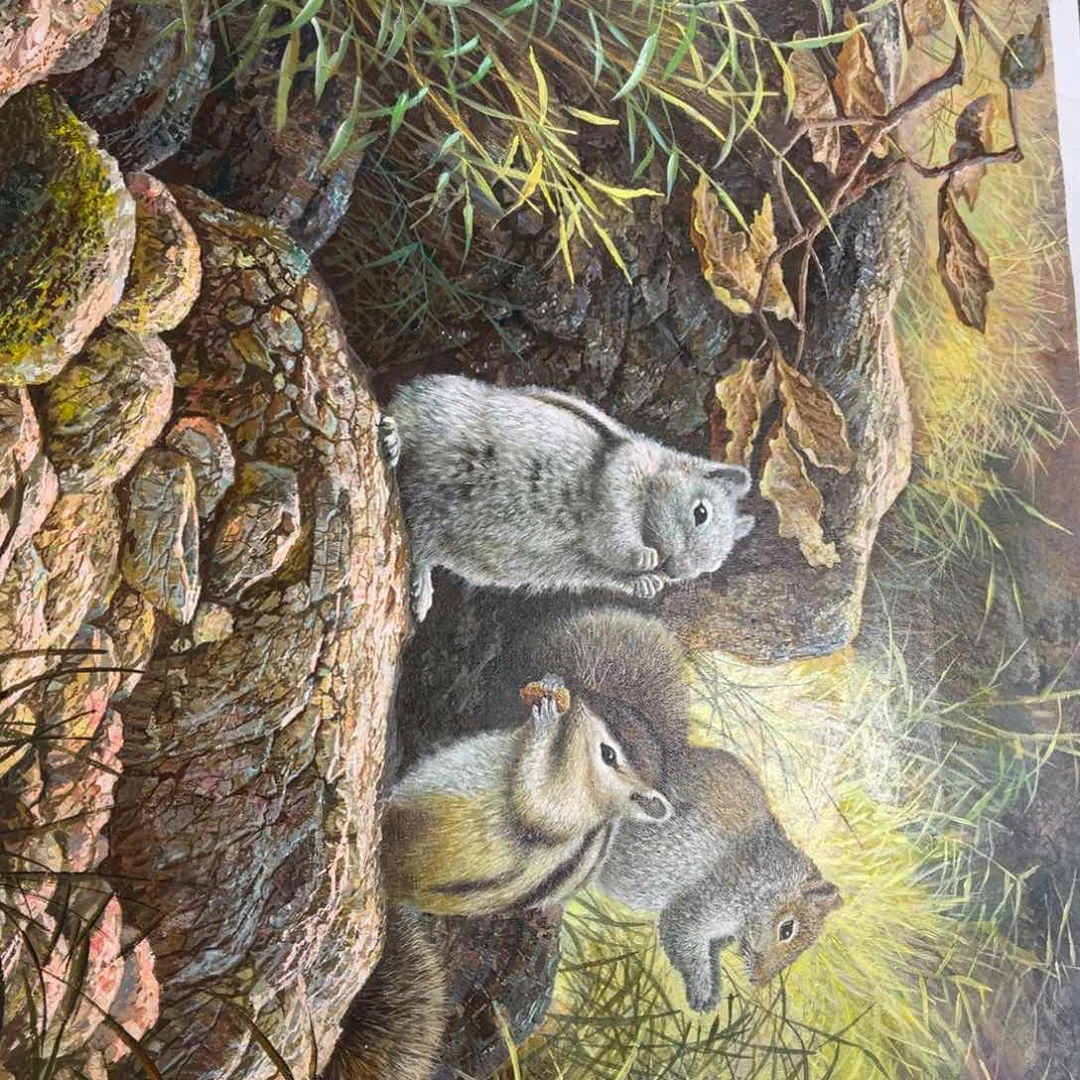 绘画p z p z y p y p p z s