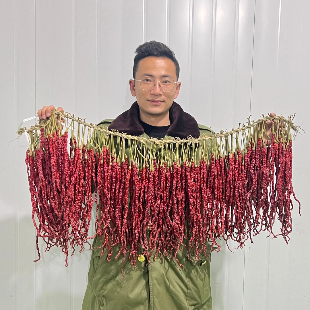 干辣椒 大方皱椒 贵州大方本地干辣椒特产