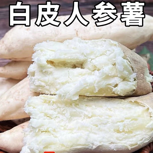 新鲜现挖牛奶人参薯沙土地白心白皮