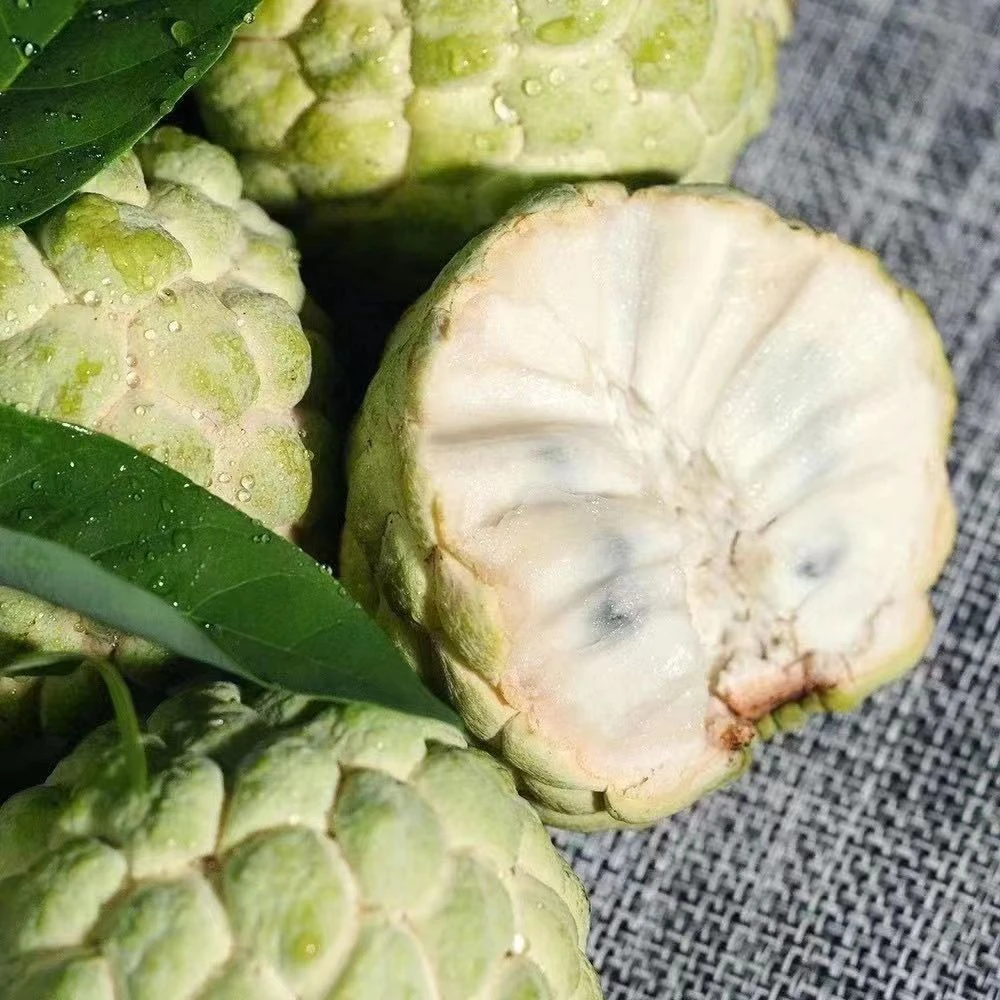 【蜜甜花香】潮汕林檎大目释迦冰激淋水果2斤/3斤/5斤