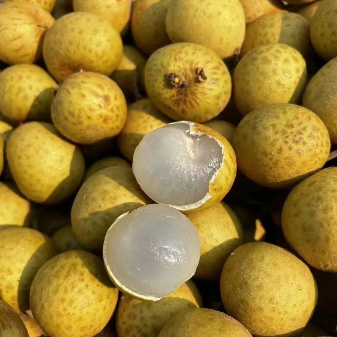 【现拍现发】龙眼  1斤装