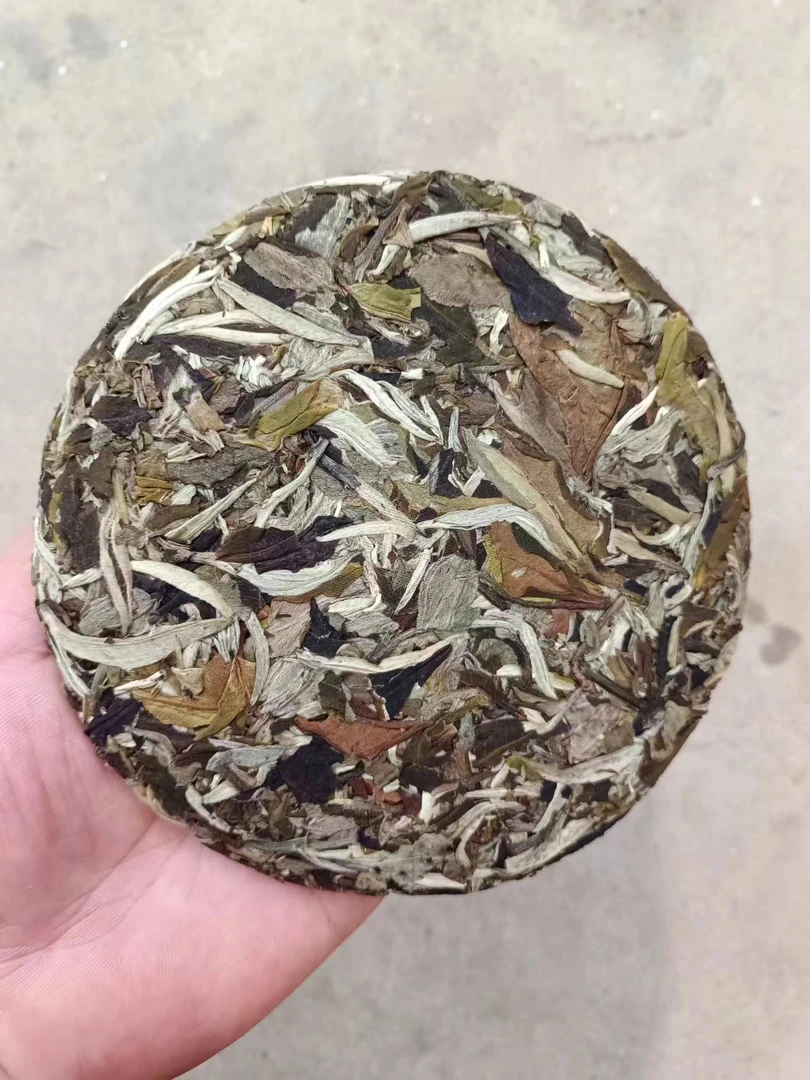 【红木树梁子-云南白茶】2025年古树头春白茶200克/饼（拍五发六）