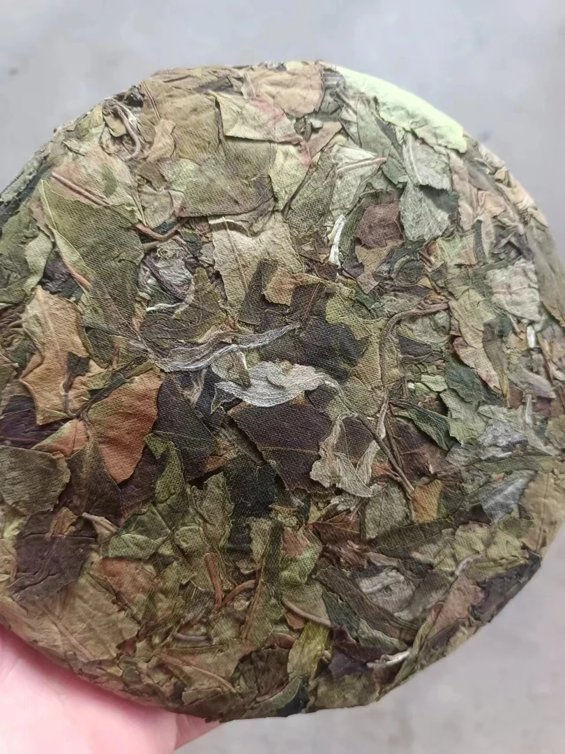 【云南白茶】2024年公有地古树头春白茶饼200g/饼