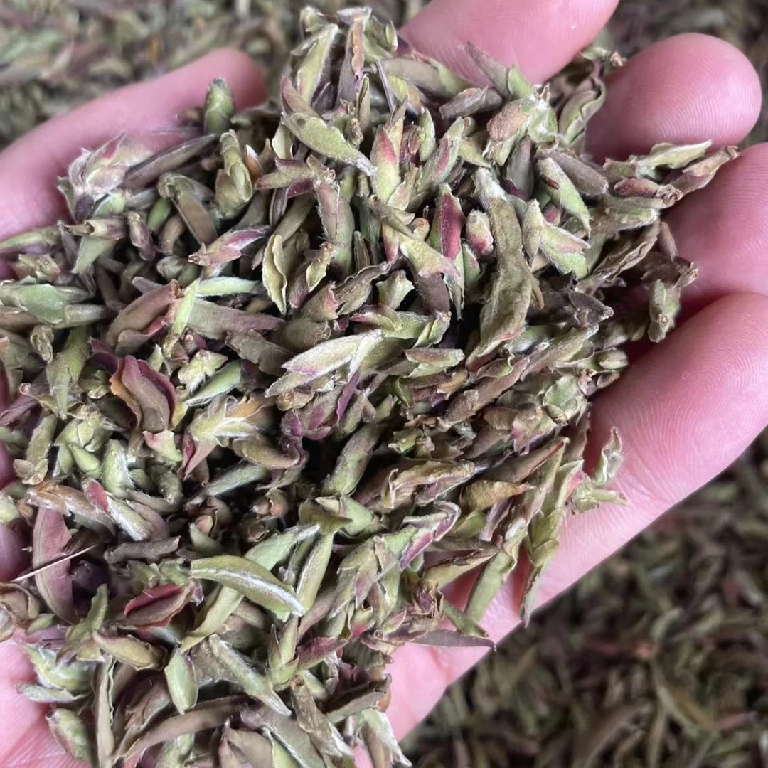 【紫芽苞】蚂蚁堆2024年云南白茶紫芽苞