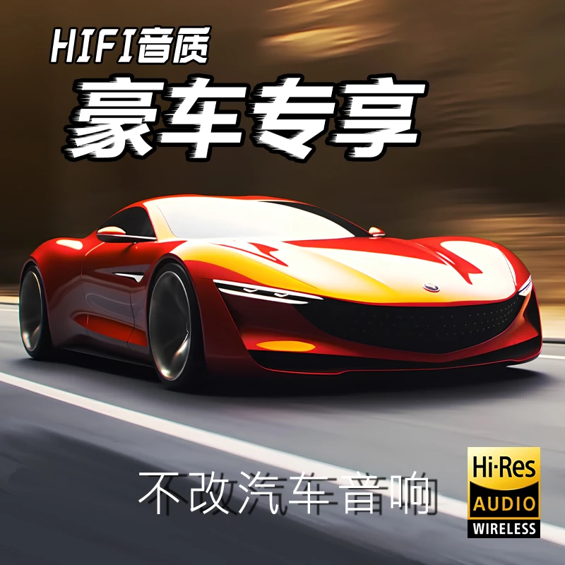 【黑金正版车载盘】 无损音质 不挑车型 即插即用 不改汽车喇叭-D