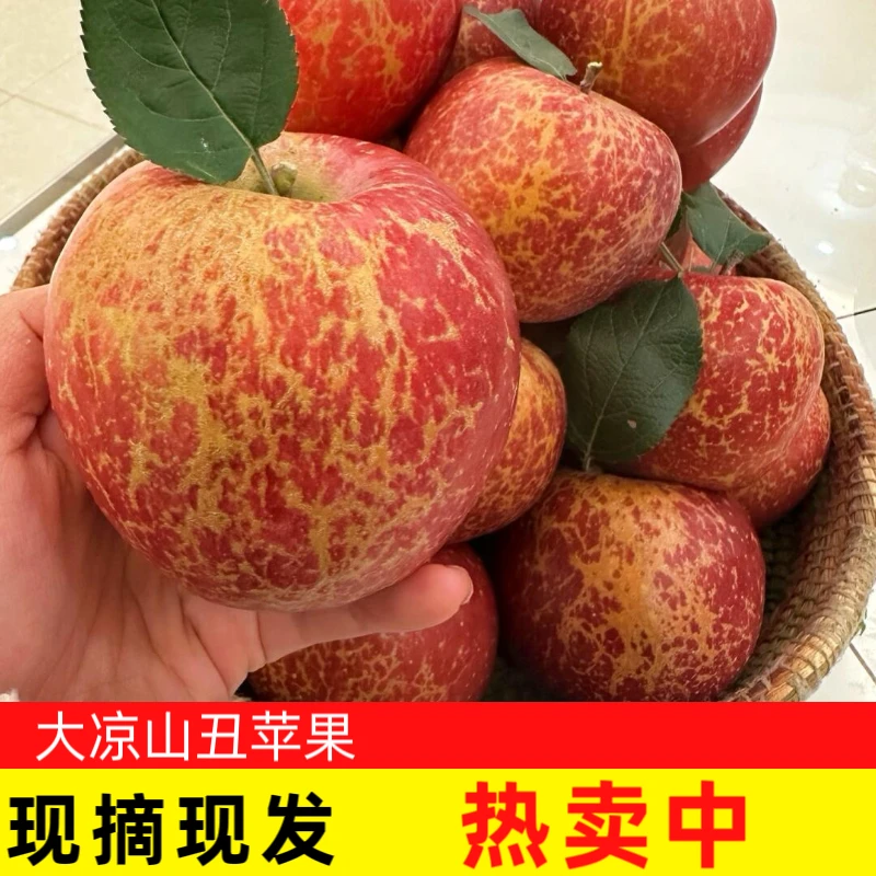 2025新果（产地直发）四川大凉山盐源冰糖心苹果正宗原产地好吃脆甜