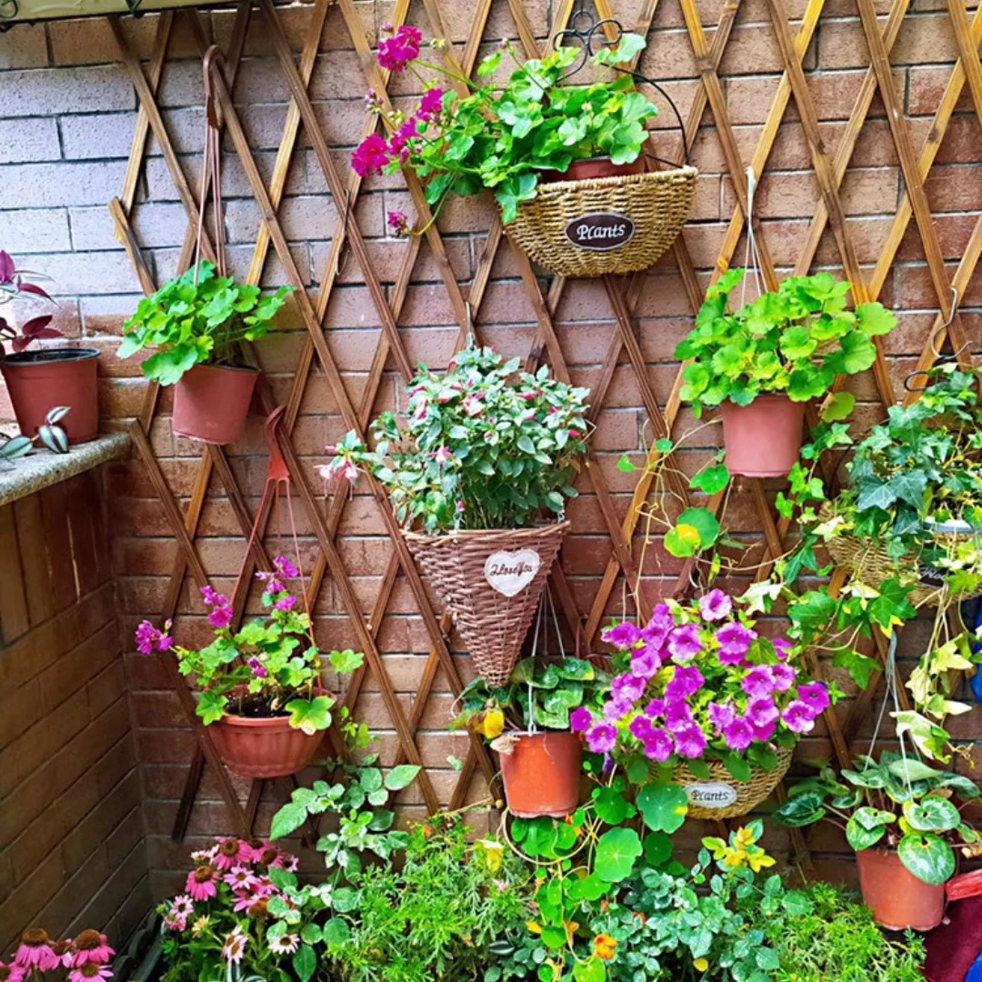 户外伸缩碳化木栅栏围栏庭院花园篱笆爬藤架墙面装饰实木网格花架