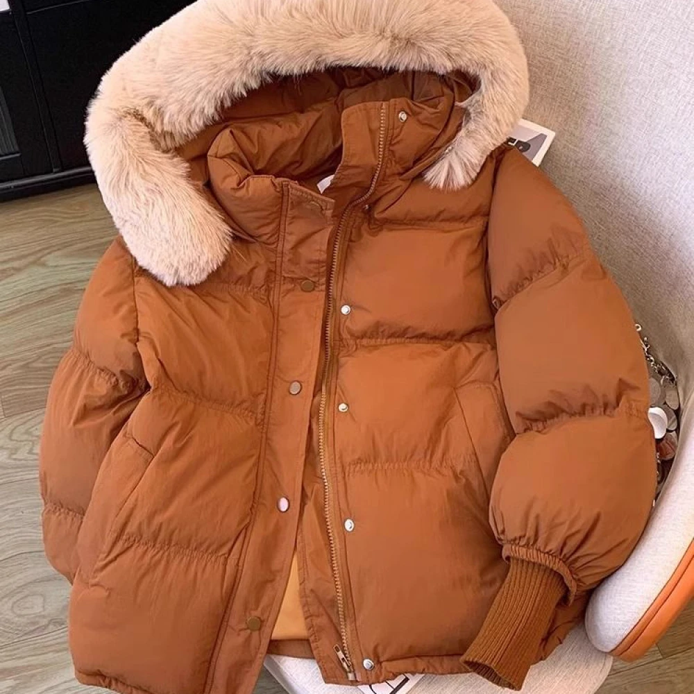 美拉德连帽棉服女冬季大码胖mm高级流行好看短款棉衣棉袄外套
