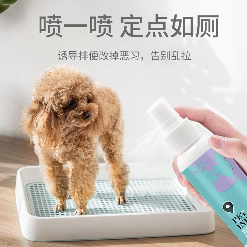 宠物排便诱导剂狗狗厕所诱导剂大小便定位训厕喷剂狗狗用品通用