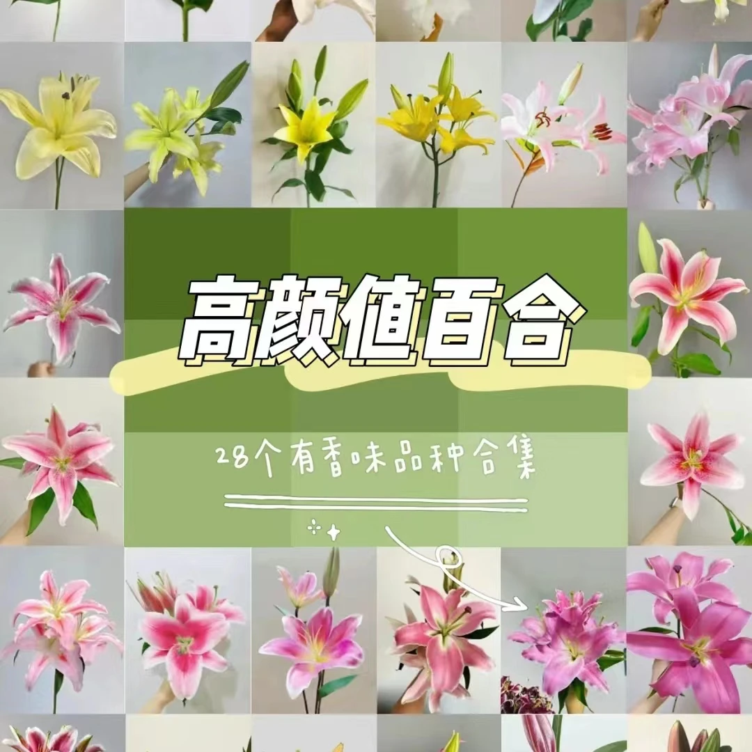 【组合套餐】百合组合套餐