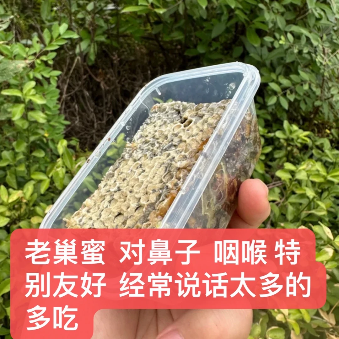 2024年 阿硕家老巢蜜  对鼻子  对咽喉  很友好的蜜