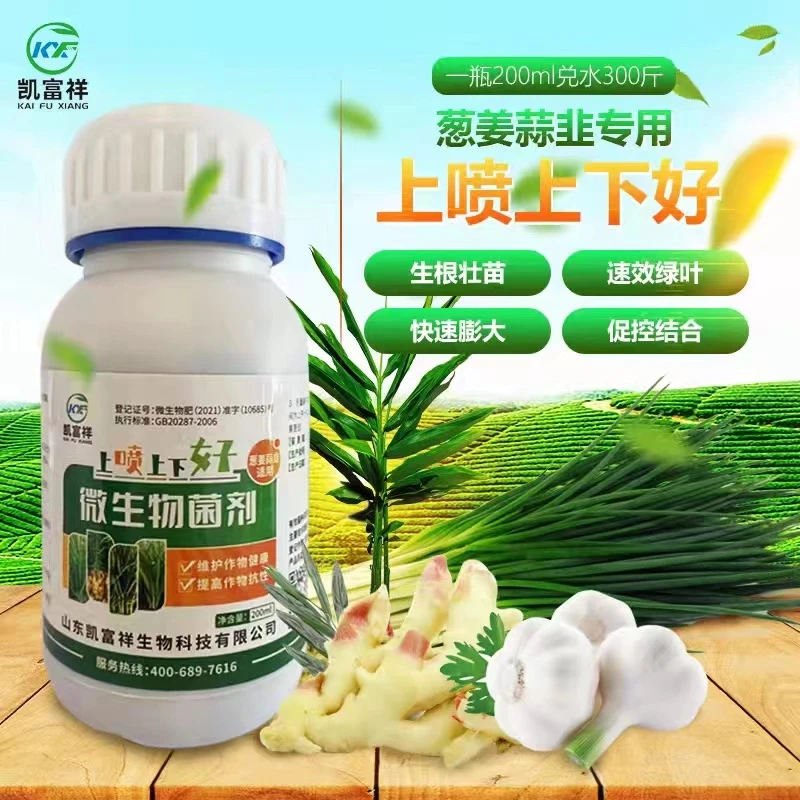 凯富祥叶面肥 葱姜蒜韭