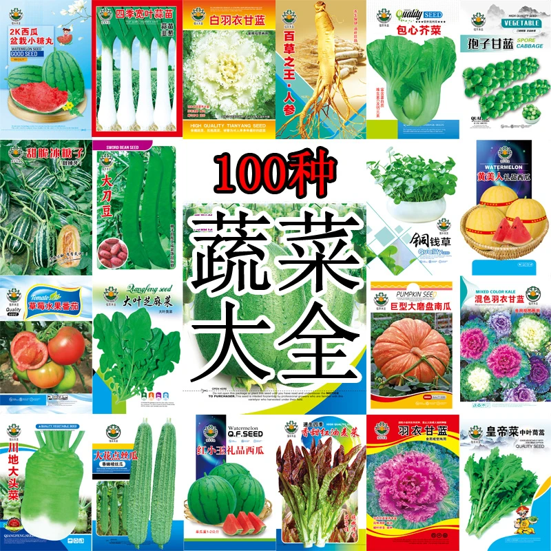 蔬菜种子四季播盆栽阳台庭院香菜辣椒番茄黄瓜豆角香甜瓜籽子大全