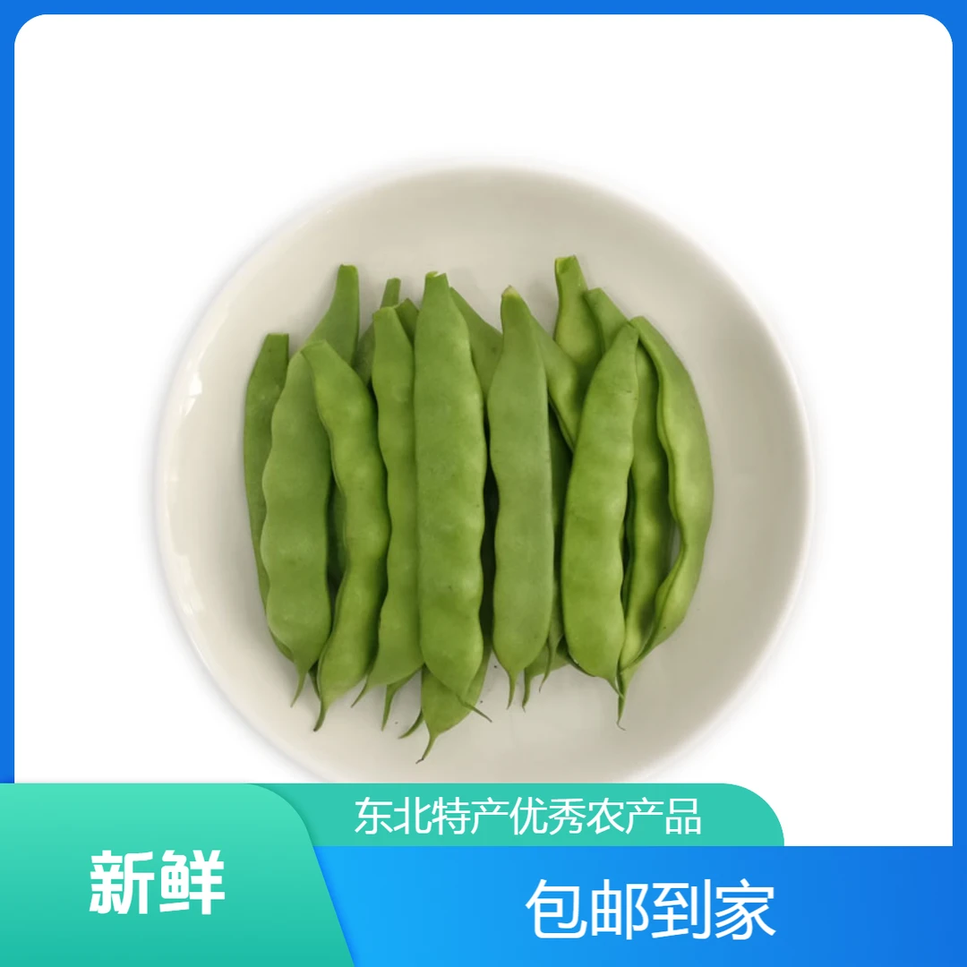 东北正宗优质九月青油豆角，北纬45度优秀农产品