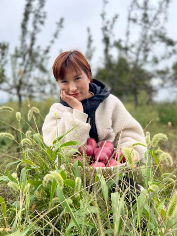花牛 天水花牛苹果2024天水花牛苹果浓郁红色优质多汁