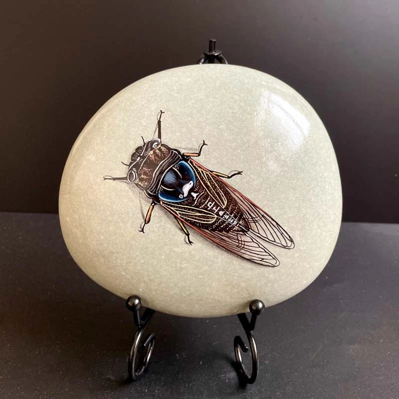 高端纯手绘防水不掉色丙烯石头画蝉书房玄关办公室精品摆件工艺品