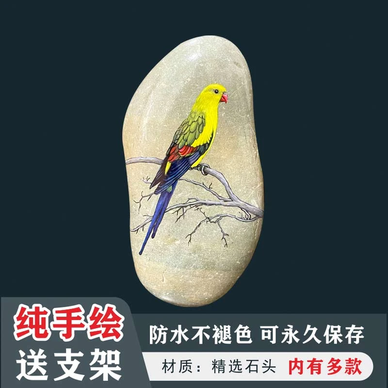 高端纯手绘防水不掉色丙烯石头画鹦鹉书房节日礼品精品成品摆件