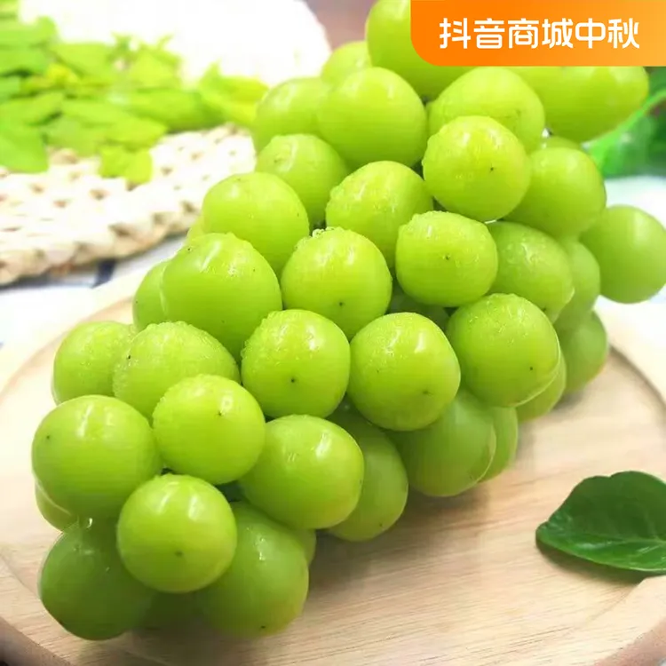 【中通快递】阳光玫瑰葡萄新鲜水果晴王葡萄提子青提水果批发包邮Y