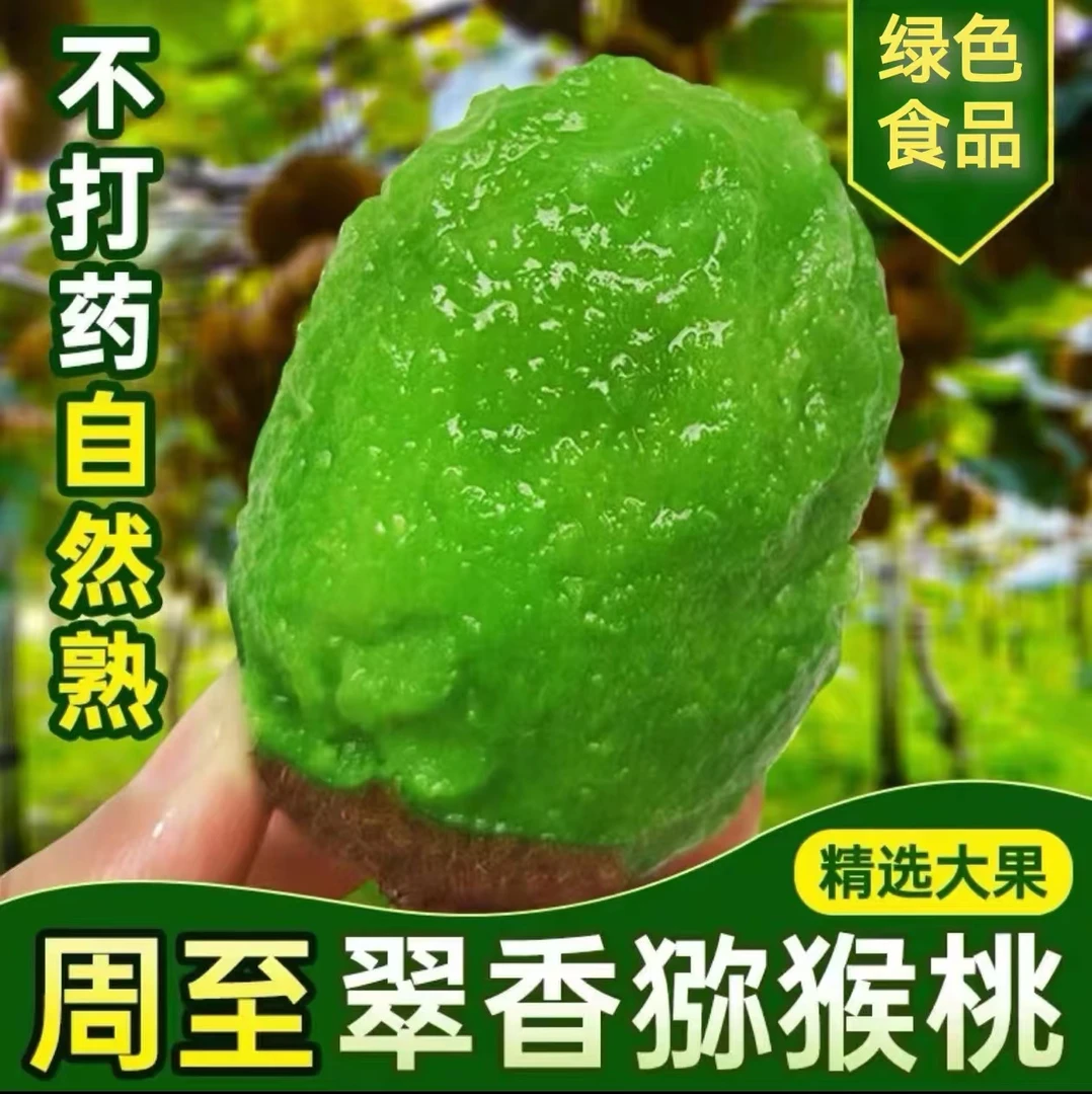 陕西周至翠香猕猴桃奇异果