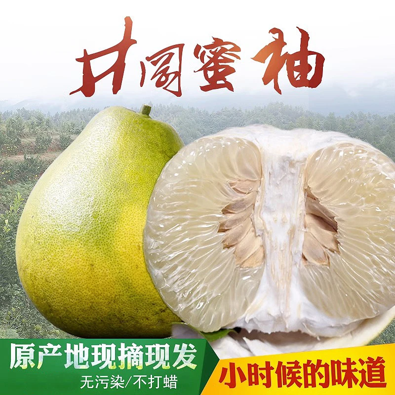 正宗清甜井冈蜜柚金沙柚原产地特产白水多汁不酸白心柚桃溪柚安福