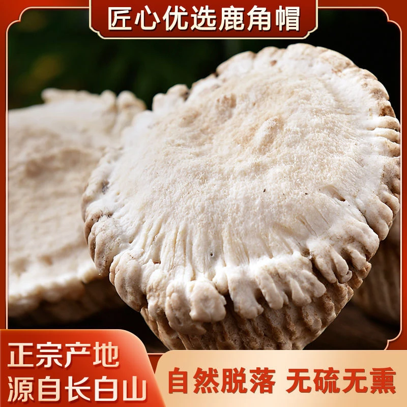 吉林鹿乡 梅花鹿 鹿角帽粉 鹿托盘  整枝 打粉 250g 产地直发