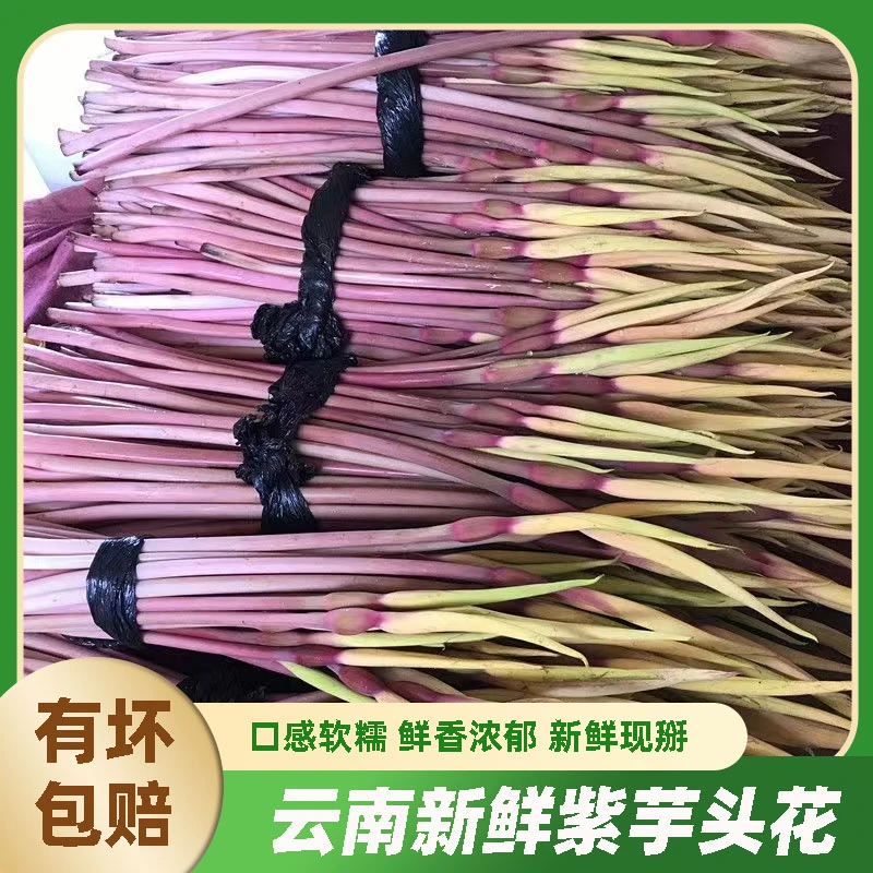 云南特产新鲜芋头花现摘现发芋荷花农家自种新鲜蔬菜紫芋头花
