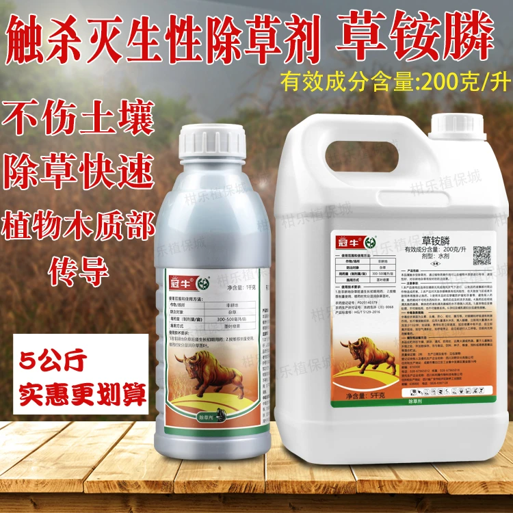 中迅冠牛草铵膦除草剂茶园柑橘果园牛筋草小飞蓬杂草高效除草剂