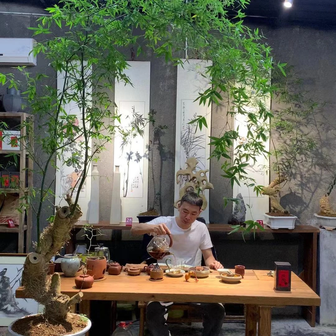 直播间一物一拍 海岛春花