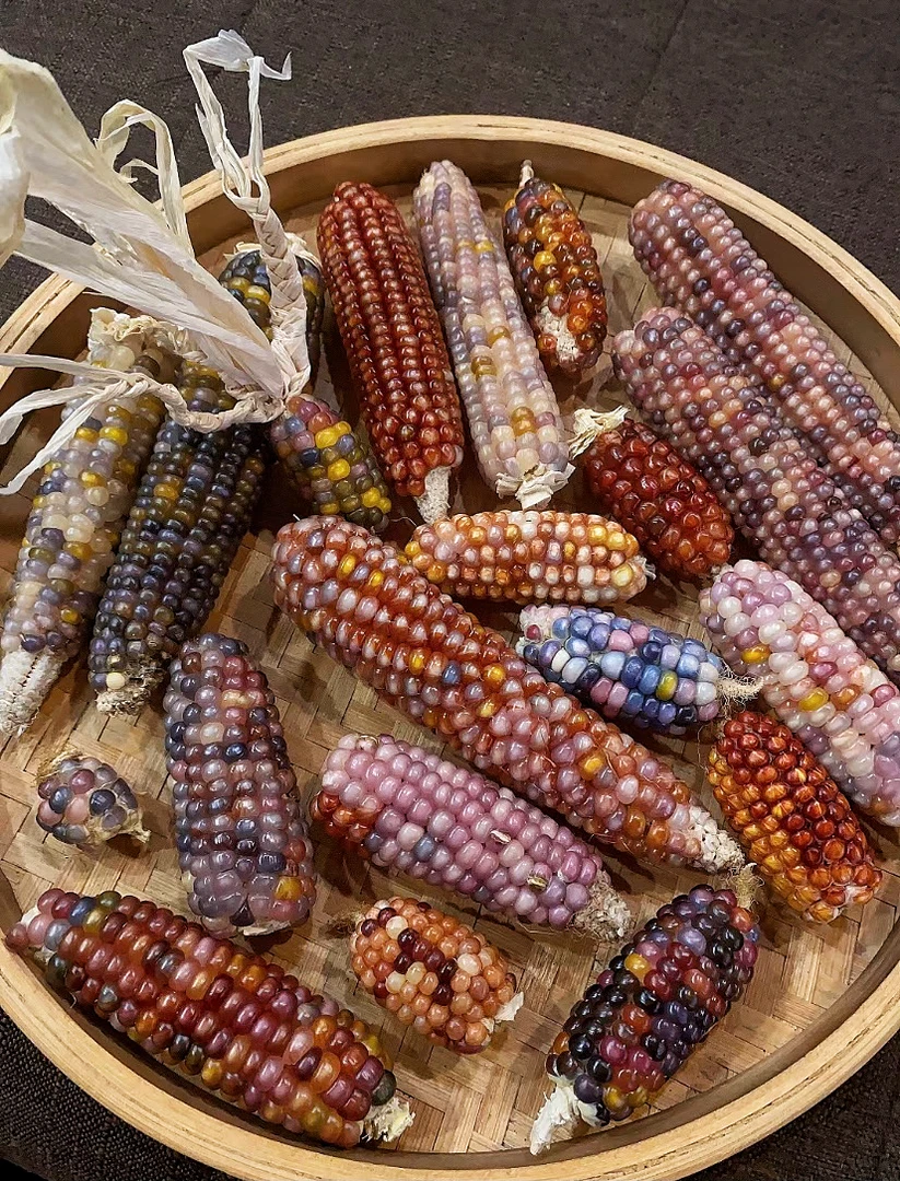 文玩玉米毛料礼品，一物一拍
