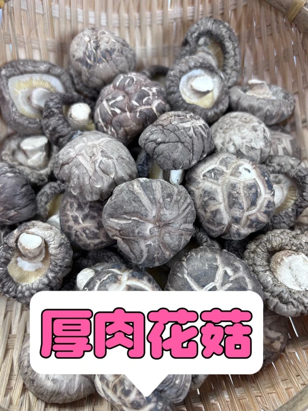 精选厚肉花菇 焖鸡焖鸭香 250克-500克菌