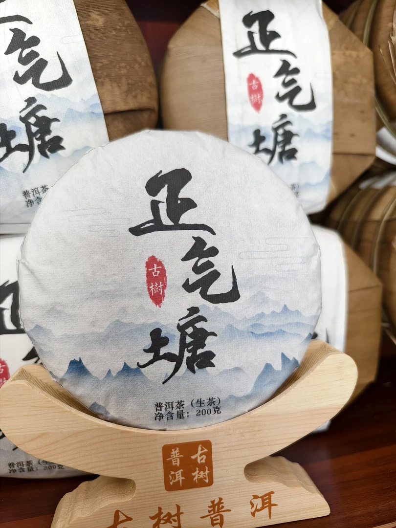 2024年正气塘古树春茶