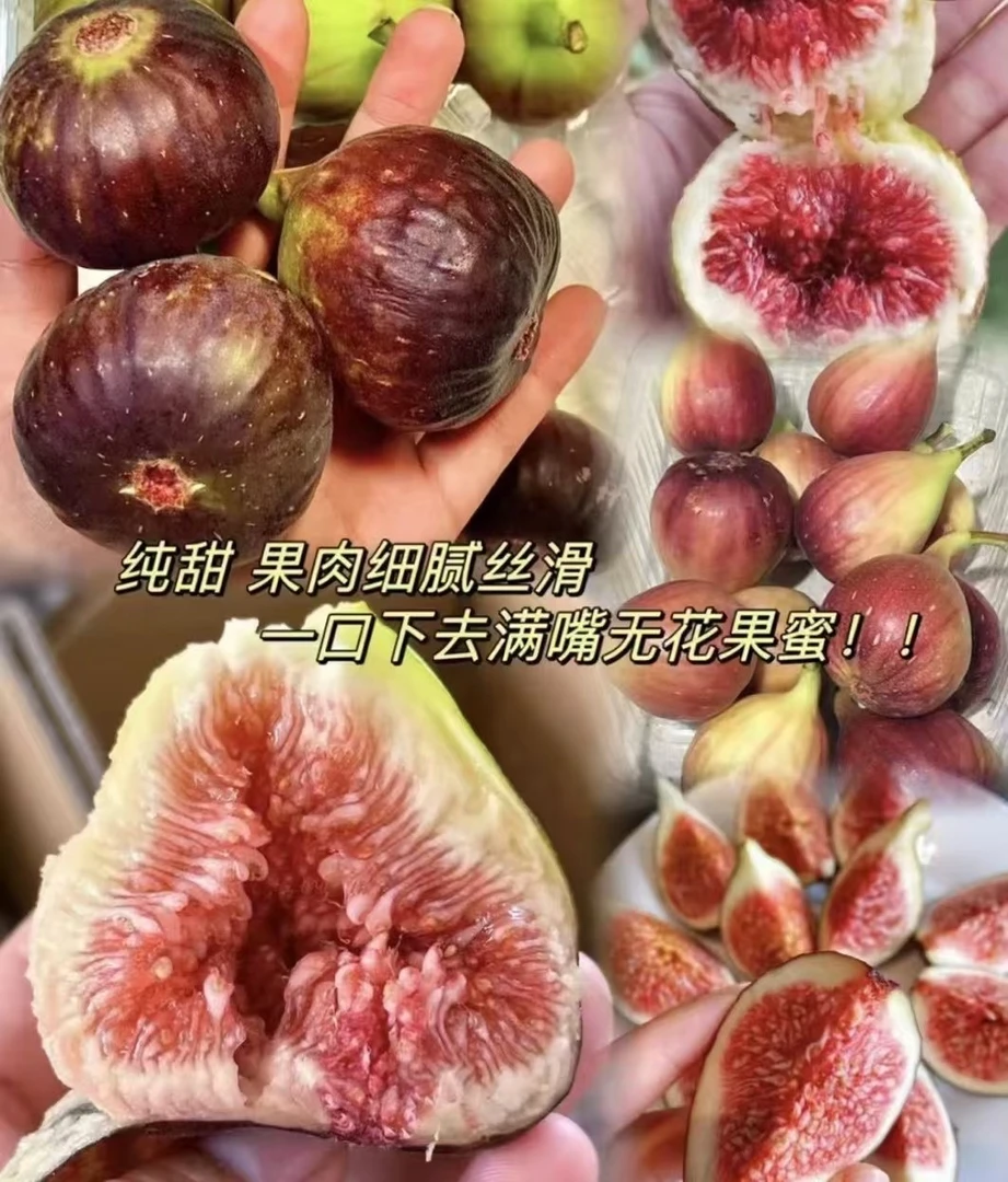 【小时达】无花果/盒6个装