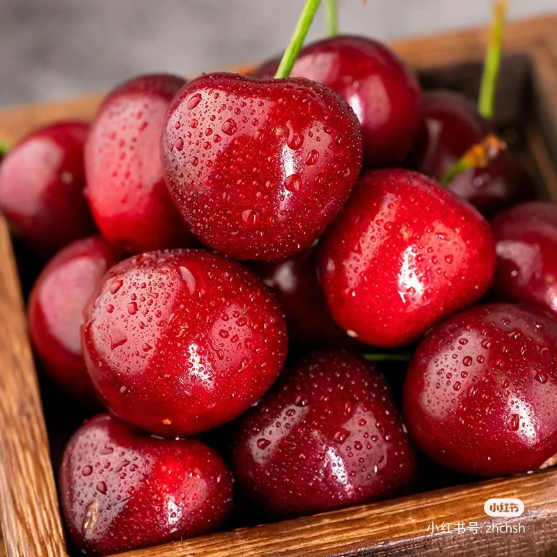 【小时达】JD海运智利车厘子无坏果2.5斤/5斤 内附果径卡