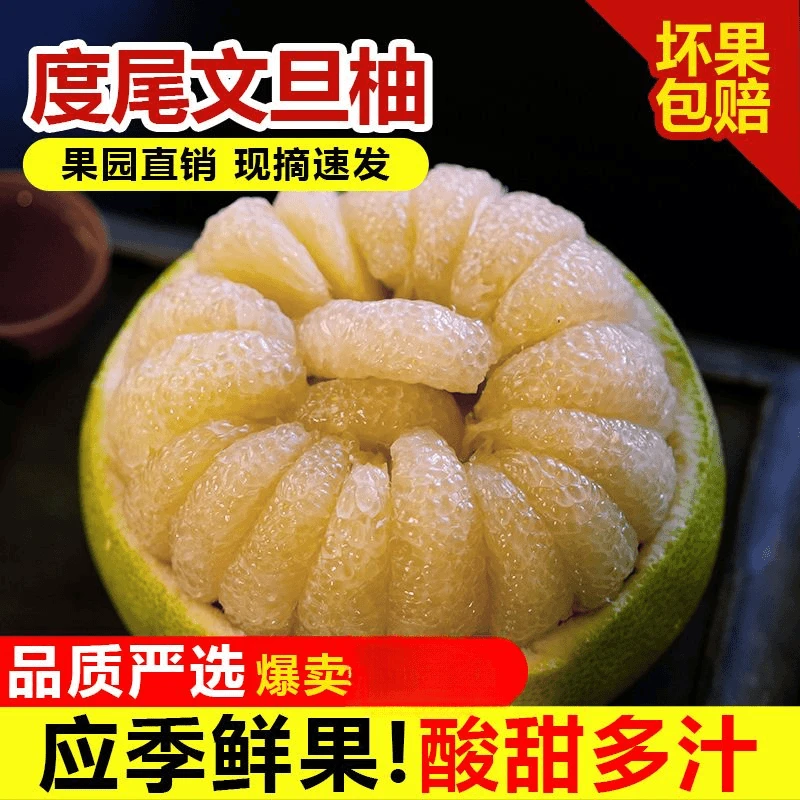 【尝鲜Plus】正宗仙游度尾文旦柚新鲜现摘红心蜜柚酸甜应季孕妇水果