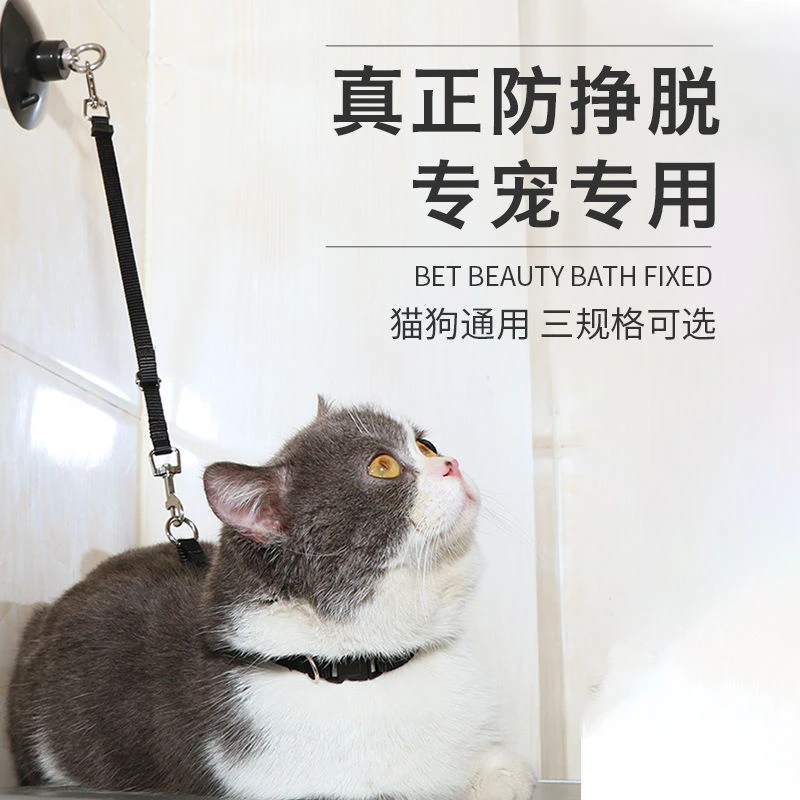猫咪洗澡固定绳宠物美容台吹毛拴狗吸盘固定防跑狗狗剪毛吊杆吊绳