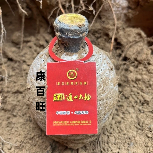 康百旺道口大曲【2015年地藏酒】道口香型500ML*6坛整箱装52度500ml